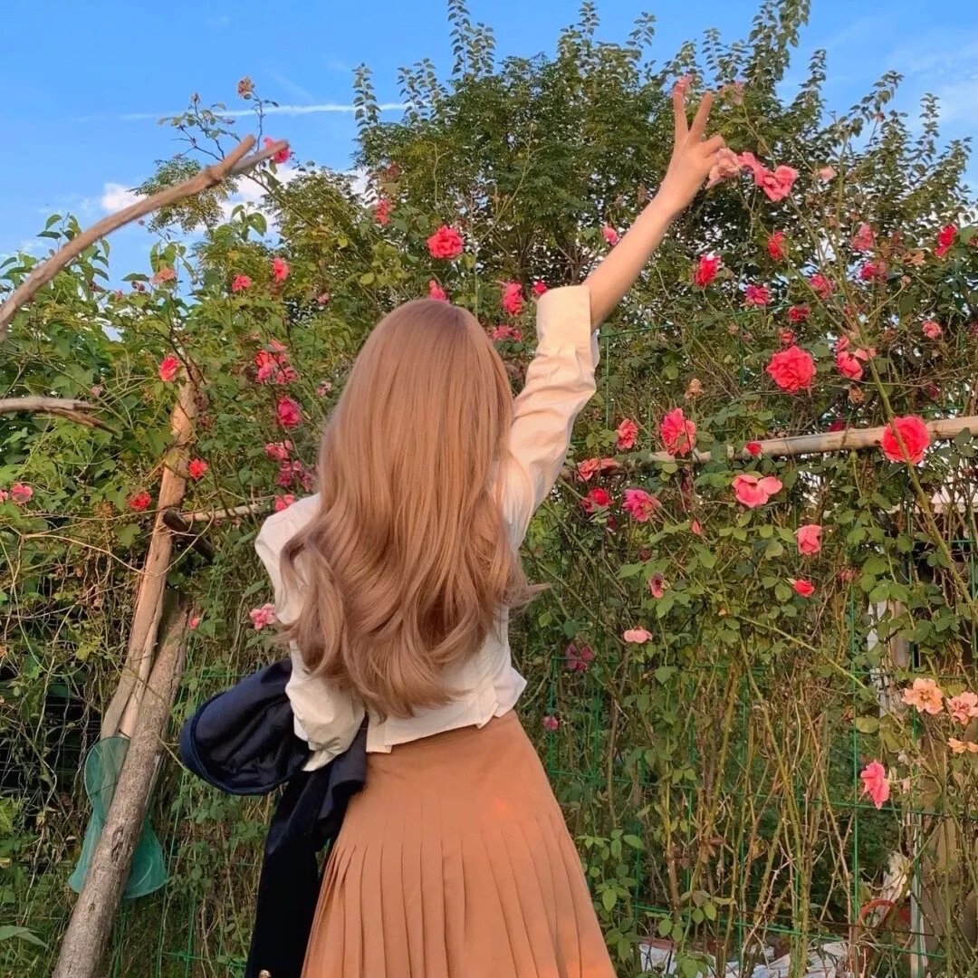 双面艾莉丝